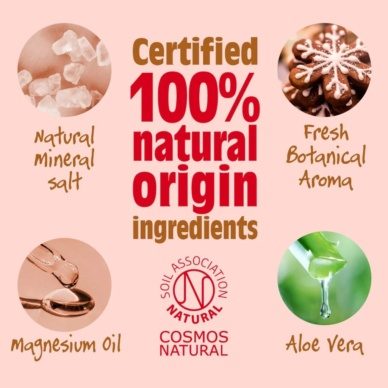 Salt of the Earth Spiced Gingerbread Natural Deodorant Spray 100ml - Image 2