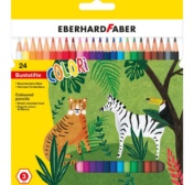 Eberhard Faber Colori värvipliiatsid 24tk